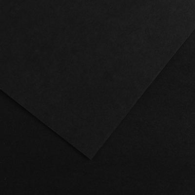 Fiches Iris Zwart 50 x 65 cm