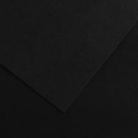 Fiches Iris Zwart 50 x 65 cm - thumbnail