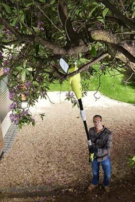 Ryobi RP750450 | Snoeischaar | heggenschaar | 750 W - 5133002315