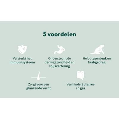 Dogsuppy Biotica Forte Chewies Dogsuppy Biotica Forte Chewies