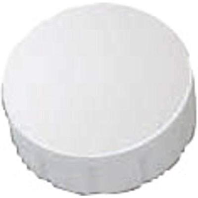 Maul Solid whiteboard magneet 150gr 10 stuks wit Maul Solid whiteboard magneet 150gr 10 stuks wit