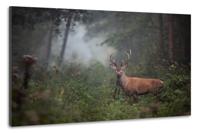 Schilderij -Hert in bos, 2 maten, premium print, wanddecoratie - thumbnail