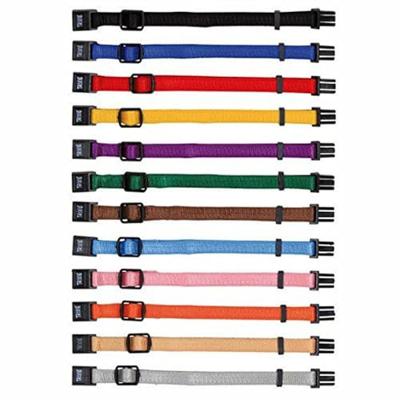 TRIXIE PUPPY HALSBAND SET ZWART/ROOD/BLAUW/APPEL/PAPAYA/ORCHIDEE - thumbnail