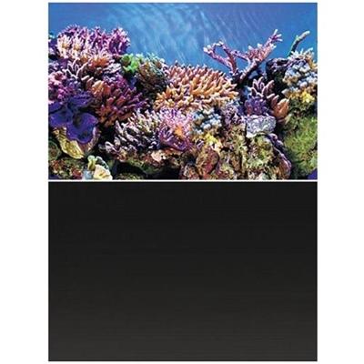 Deco Poster A5 120X61 Cm aquaria Superfish - Superfish