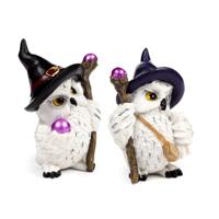 Wise Old Magical Owl op magische reis - thumbnail