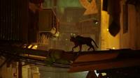 Stray - thumbnail