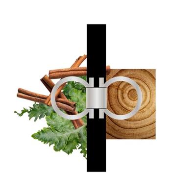 Herenparfum Salvatore Ferragamo FERRAGAMO SUBLIME LEATHER EDP 100 ml