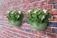 Elho Wandpot vibia campana bas 35cm Groen - thumbnail