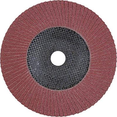PFERD TOOLS 67606185 PFF 180 A 60 SG STEELOX Lamellenschijf Diameter 180 mm Boordiameter 22.23 mm RVS, Staal 10 stuk(s) PFERD TOOLS 67606185 PFF 180 A 60 SG STEELOX Lamellenschijf Diameter 180 mm Boordiameter 22.23 mm RVS, Staal 10 stuk(s)