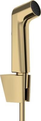 Hansgrohe bidethanddouche 1jet EcoSmart met Porter S douchehouder en doucheslang 125 cm, Polished Gold-Optic