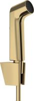 Hansgrohe bidethanddouche 1jet EcoSmart met Porter S douchehouder en doucheslang 125 cm, Polished Gold-Optic - thumbnail