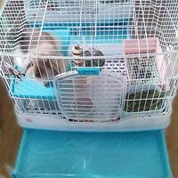 Mio MiVue C595W Full HD - WiFi - GPS - flitspalen Dashcam Zwart - thumbnail