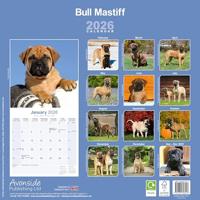 Bullmastiff Kalender 2026 - thumbnail