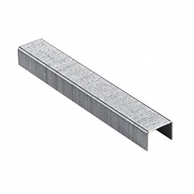 Bosch Accessories 2609200216 Nieten met fijn draad Type 53 1000 stuk(s) Afm. (l x b) 10 mm x 11.4 mm