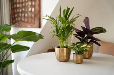 Pot bol blocks d17h15cm beige