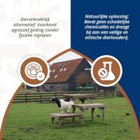 Hertshoorn Spray - thumbnail