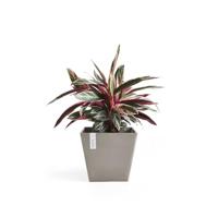 Ecopots Rotterdam kunststof bloempot Taupe - Ø 27,7 cm - thumbnail