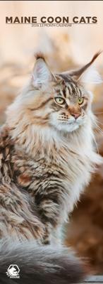 Maine Coon Slimline Kalender 2026