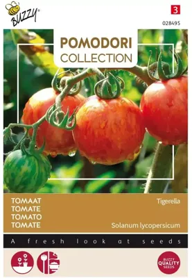 Zaden Pomodori Tigerella Buzzy - Buzzy