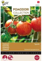 Zaden Pomodori Tigerella Buzzy - Buzzy - thumbnail