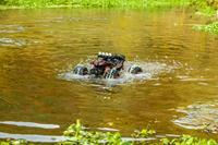 Carson Modellsport The Beast 1:12 Brushed RC auto Elektro Crawler 4WD 100% RTR 2,4 GHz - thumbnail