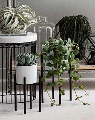 Plantenstandaard Ascot Metaal Zwart H.35cm - thumbnail