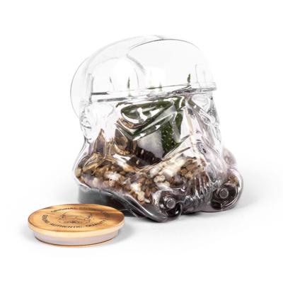 Stormtrooper Terranium