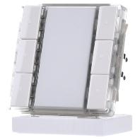 Siemens-KNX 5WG1223-2DB12 Toets - thumbnail