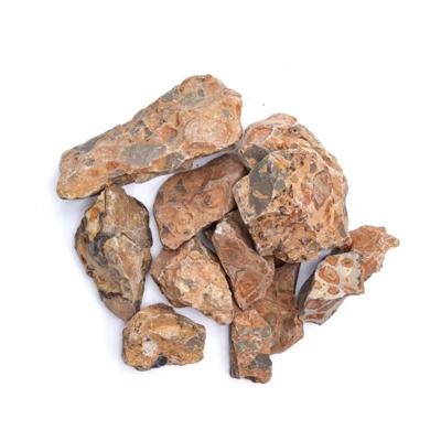 Ruwe Leopardiet (3 - 8 cm) - 1 kg Ruwe Leopardiet (3 - 8 cm) - 1 kg