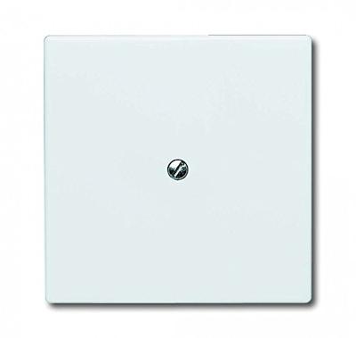 ABB 2138-32 Blindafdekking Afdekking Parel-wit, Crème-wit 1 stuk(s)