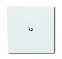 ABB 2138-32 Blindafdekking Afdekking Parel-wit, Crème-wit 1 stuk(s) - thumbnail