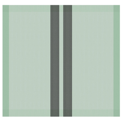 DDDDD theedoek baxter 60x65 green