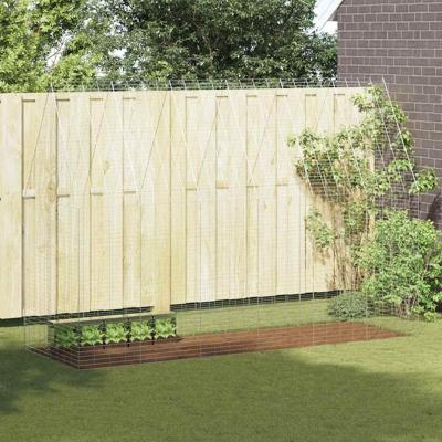 Konijnenkooi Zilver 300 x 100 x 210 cm Gegalvaniseerd staal