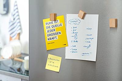 Sigel SI-BA211 Magneten Vierkant 4 Stuk