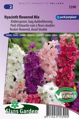 Delphinium Ajacis zaden Ridderspoor Mix