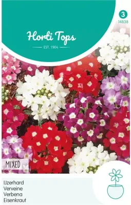 Zaden Verbena IJzerhard gemengd Hortitops - Hortitops