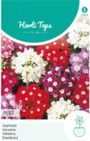 Zaden Verbena IJzerhard gemengd Hortitops - Hortitops - thumbnail
