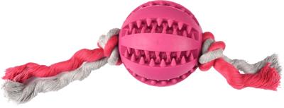 Hondenspeelgoed Rubber Dental Bal met Koord - 7 cm 20 x 7 x 7 cm Flamingo Multicolor