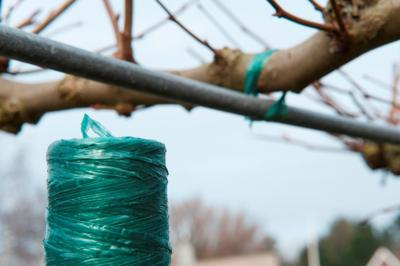 Nature kunststof raffia 400 meter