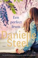 Een perfect leven - Danielle Steel - ebook - thumbnail