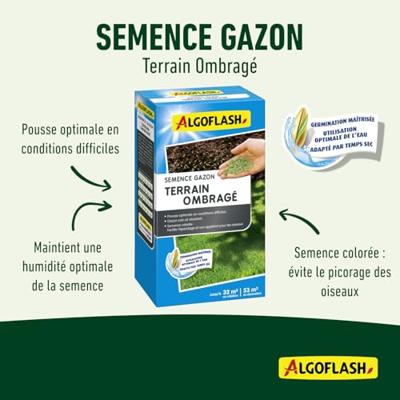 Graszaad - ALGOFLASH - Schaduwrijke plek - 800 g