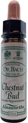 Ainsworths Chestnut bud Bach 10 Milliliter Ainsworths Chestnut bud Bach 10 Milliliter