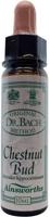 Ainsworths Chestnut bud Bach 10 Milliliter - thumbnail