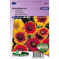 Gaillardia Aristata zaden Choice dekenbloem - thumbnail
