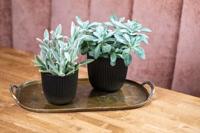 Capi 'made with' groove bloempot 28x27 cm zwart - thumbnail