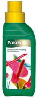 Pokon anthurium voeding 250ml - thumbnail