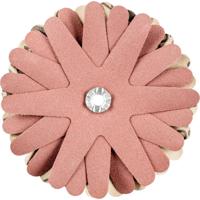 PFERD TOOLS 42732149 Schuursterren Diameter 90 mm 10 stuk(s) - thumbnail