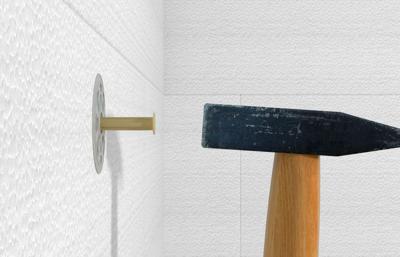 Fischer 546808 Putzdübel FIF-PN 8/160 Plug 100 stuk(s)