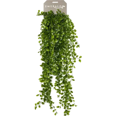 Zijdeplant Hangplant op steker Ficus Pumila kunstplant Driesprong Collection - Driesprong collection