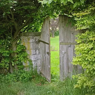 Alexsar Art Tuinschilderij houten deur 50x50cm Alexsar Art Tuinschilderij houten deur 50x50cm